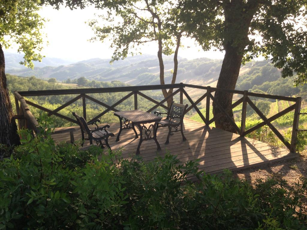 Вілла Agriturismo Erta Казоле-д'Ельса Екстер'єр фото