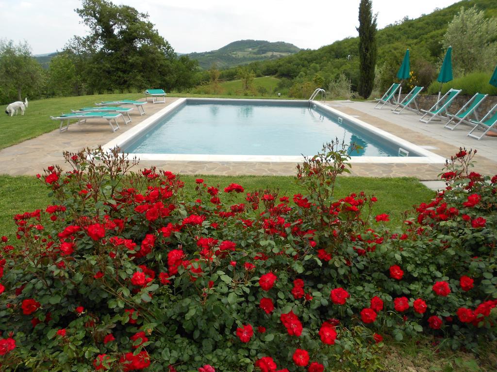 Вілла Agriturismo Erta Казоле-д'Ельса Екстер'єр фото